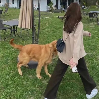 复合与出走